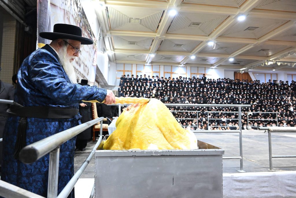 צילום משה גולדשטיין